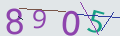 verifycode